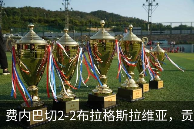 费内巴切2-2布拉格斯拉维亚，贡多齐失误送礼，卡措尔绝平